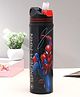 Spiderman Steel Water Bottle - 700 ml