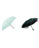 ABSORBIA Unisex Umbrella with Capsule Cover | 5-Fold Design | Rain & Sun Protection | Easy Travel | Green