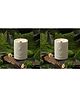The Better Home Scented Candles - 36 Hrs Burn Time - Ideal for Home Decor & Romantic Gift for Weddings