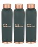 The Better Home Copper Water Bottle 1 Litre | With Anti Oxidant Properties |Boosts Immunity & improves Health| Copper Water Bottles 1+ Litre | 100% Copper Water Bottle | Teal(Pack of 3)