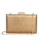 The Clownfish Estella Collection Faux Leather Womens Party Clutch Ladies Wallet Evening Bag With Chain Strap (Golden)