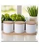 The Better Home Ceramic Condiment Jar Set of 3 (250 ml Each) | Bamboo Lids, Spoons & Tray | Airtight Kitchen Organizer for Pickle, Sauces & Masala | White