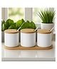 UMAI 3 pcs Ceramic canister set | large | 750ml | White | PLS761-1L