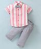 Little Kangaroos Cotton Knit Half Sleeves Shirt & Trouser With Bow Striped - Pink & Grey