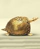 Shree Kala Home Décor Dhokra Art Ancient Art Brass Tortoise Vastu
