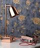 De Maison Decor Matt Silver Steel Adjustable Study Lamp