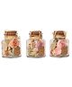 De Maison Decor Lea Dried Floral Pastel Potpourri set of 3 (small)fusia rose, lilac lavender, peach belani