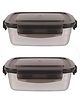Femora Stainless Steel Rectangle Container with Lock Lid Lunch Box - Set of 2