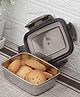 Femora Steel Rectangle Lunch Box, Storage Container with Lock Lid - 350ml