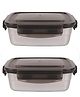 Femora Stainless Steel Rectangle Storage Container with Lock Lid Lunch Box - Set of 2