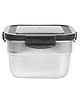 Femora Steel Square Container Airtight Leakproof Unbreakable Storage Container/Lunch Box - 850 ml/gm
