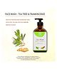 Natuur - Face Wash Tea tree, Peppermint & Frankincense - Cleansing and Brightening. For Acne Prone skin 300ml