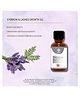Natuur - Eyebrow & Lashes Growth Oil 20 ml