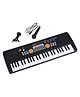 Sanjary battery operated  Piano Keyboard Electronic Organ Multi Function Portable with Microphone - Color May Vary