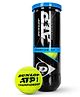 Dunlop Vector X ATP Championship Tennis Balls (1 Can (3 Balls/Can), Yellow)