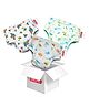VParents Padded Underwear for Babies and Toddlers with 3 Layers of Cotton Padding Potty Training  Pull Up & Diaper-Free Time Pack of 3 (6 -12 months) (Print may vary)