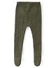 Babyhug Knitted Footed Leggings With Cable Knit Design - Olive Green