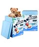 Kuber Industries Mickey Surf Toy Storage Box  Laundry Basket for Toys  Folding Laundry Basket  Clothes Hamper with Lid & Handles  Storage Basket for Bathroom  60 LTR  Pack of 2  Sky Blue