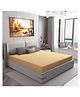 DREAM CARE Water Proof Lycra Stretchable Fitted Mattress Protector King Bed Mattress Cover 72x75 Inches - Beige