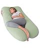 Kwality Dreams Maternity Pillow U Shape Sea Green