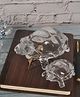 Shree Kala Home Décor Crystal Tortoise Good Luck Showpiece