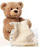 NIYAMAT Peekaboo Plush Doll Playing Hide and Seek Intelligent Interactive Cartoon Stuffed Sing Music Brown Teddy Bear Toy Best Birthday Gift for Boys and Girls (Latest 2024) - Height 21.6 cm