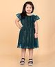 SHRITHI Fashion Fab Half Sleeve Geometric Striped Designed Flared Net Dress - Green