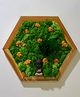 mybageecha At a Standstill Preserved Moss Frame with Light Wood