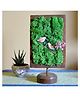 mybageecha Privy Prattle Tabletop Preserved Moss Frame
