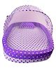 Babytoons Baby Bedding Set Cotton Bed With Mosquito Net And Bumper Guard (0-12 Months) Purple