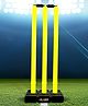 Leader Sportz Cricket Stumps with Stand - Green