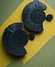 Priaansha Creations  Black  Tassel  Earrings-20g