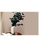 Arte Casa Lucid Vase With Eucalyptus - White