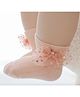 Flaunt Chic Cotton Sequin Bow Net Detailed Socks  - Peach