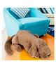 SHAPZE - The Sleepy Dogs Fen Brown Length 57 cm