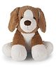 SHAPZE Pawsome Puppies Dom Brown Height 35 cm
