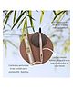 On Earth Bamboo Premium Toothbrush - Pack of 1 Charcoal