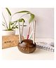 On Earth Coconut Shell Pen stand