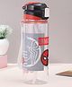 Disney by Gluman Disney Spiderman Bottella Spout Tritan Water Bottle - 800 ml