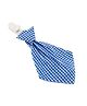Babies Bloom Necktie Pacifier Clip Check Print - Blue