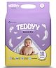 TEDDYY Rapi Soak Mats- 10 Mats