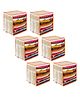 PrettyKrafts XL Saree Cover,sari organizer with handles & transparent front Extra Large Sari Cover Set of 6
