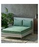 Trance Home Linen Premium Soft Cotton Double King Flat Bedsheet with 2 Pillow Cover 108 x 108 Inch- Aqua Green