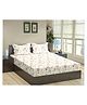 Trance Home Linen Soft Pure Cotton Flat Double Queen Bedsheet with 2 Pillow Cover- Aster Pink