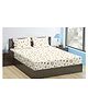 Trance Home Linen Soft Pure Cotton Flat Double Queen Bedsheet with 2 Pillow Cover- Soloce Yellow