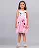 Zion Mesh Cap Sleeves Floral Applique Dress - Pink