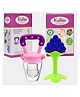 Baby Silicone Fruit Teether & Fruit Feeder Combo - Blue & Purple
