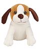PLAY TOONS 15 cm Sitting Puppy Soft Toy White Brown