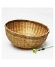 Greeneera Strainer