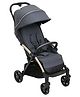 Chicco Goody Xplus 5 Point Safety Harness With Adjustable Canopy Stroller - Dark Shadow